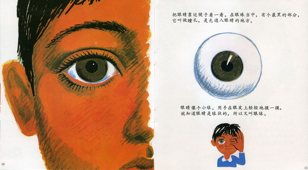 眼睛的故事 (07),绘本,绘本故事,绘本阅读,故事书,童书,图画书,课外阅读